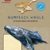 HOT CLEARANCE Incredibuilds Animal Collection Humpback Whale